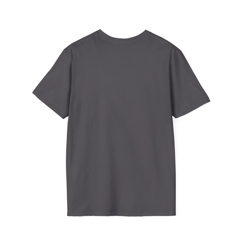 Sword Swings to Formulas T-Shirt